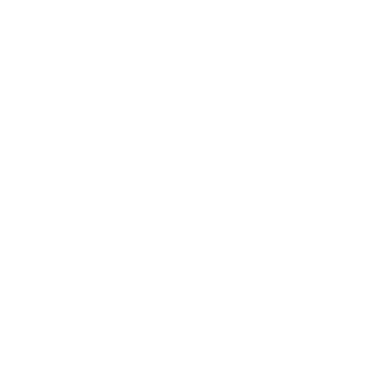 Shoe Store